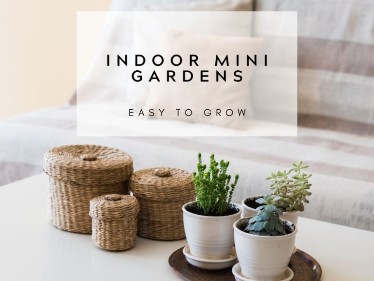 Indoor Mini Gardens